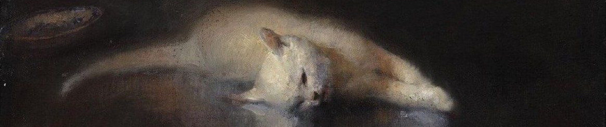 kittycontainer