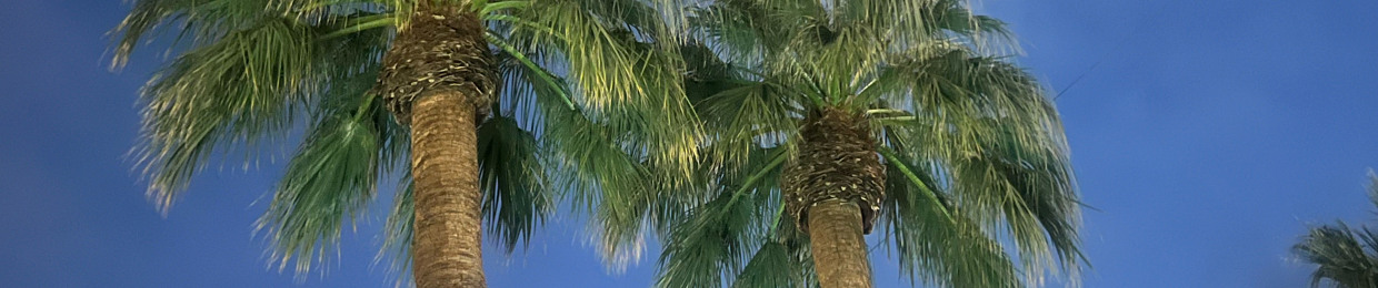 Brian Anthony Jones 1