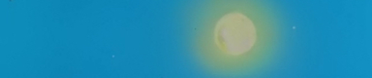 ✧𝓕𝓐𝓣 𝓦𝓗𝓞𝓡𝓔✧