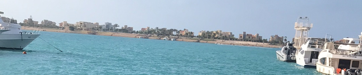 mohammed hosny