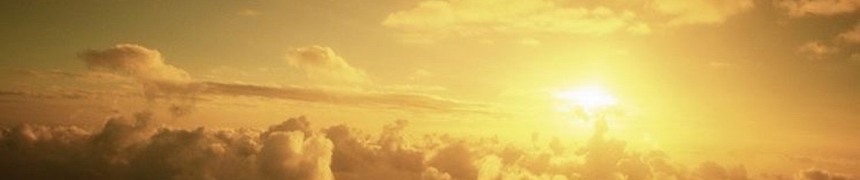 ๐ . โฎ โโ๐ฐโโ โ ๊ฑ