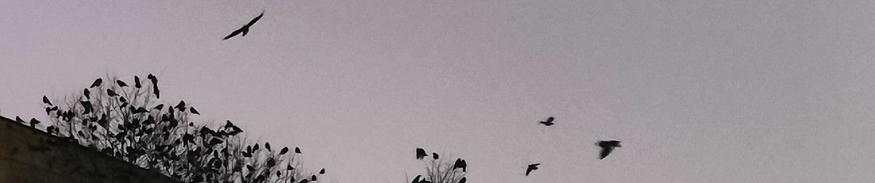 ghostcityvibes