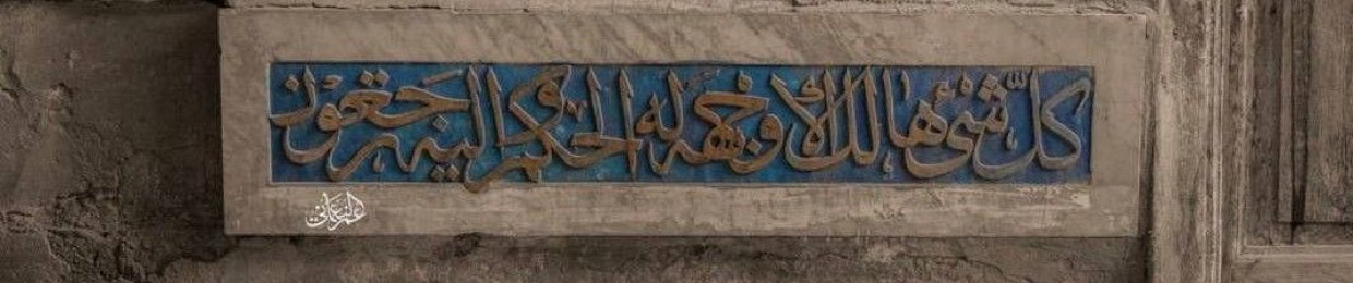 Mahmoud_R