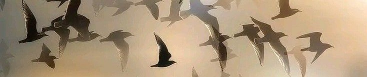 ماريّـة بنتُ سميح بن عُمَر