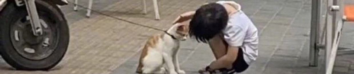 신사와고양이