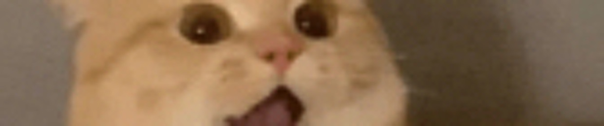 Kesvinxd