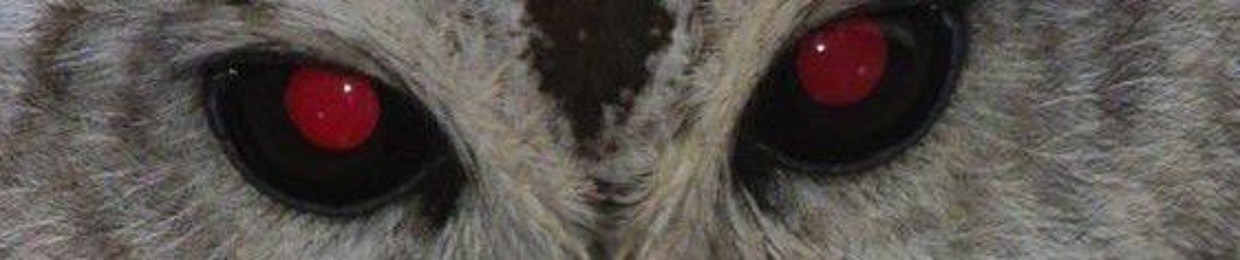 JOHN