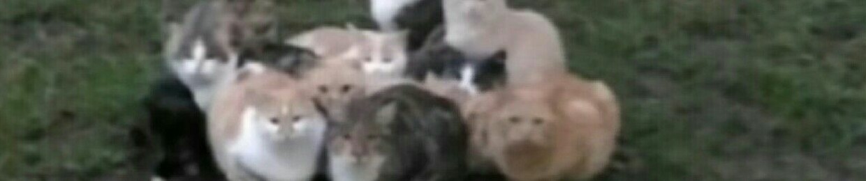 Андрій Талабко