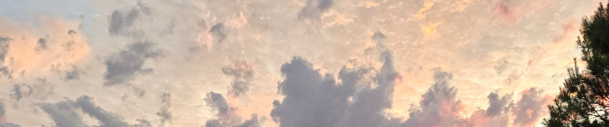 stellarfulcrum_XIV