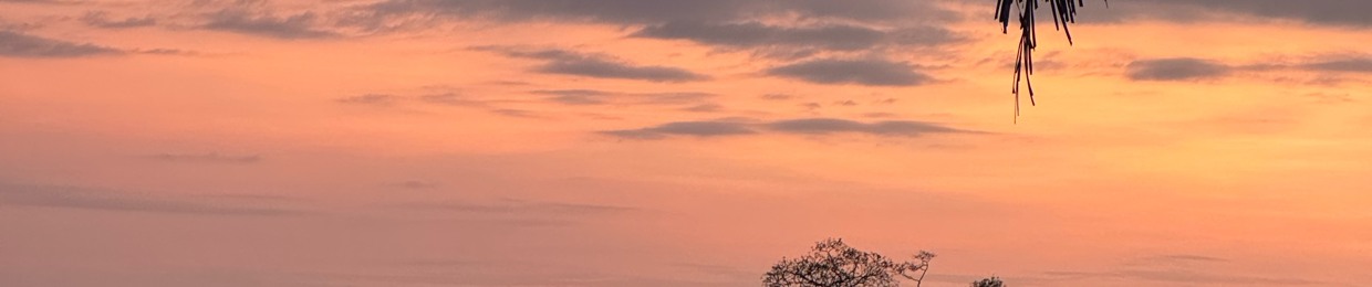 Sebastian Ruiz Vargas