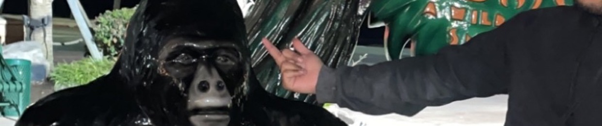 ✨🌴Kingz0wnZ🌴✨