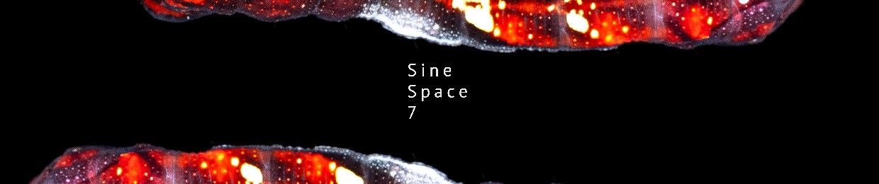 Sine Space 7
