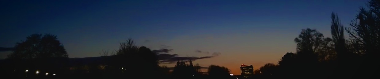 Budhaditya Chowdhury