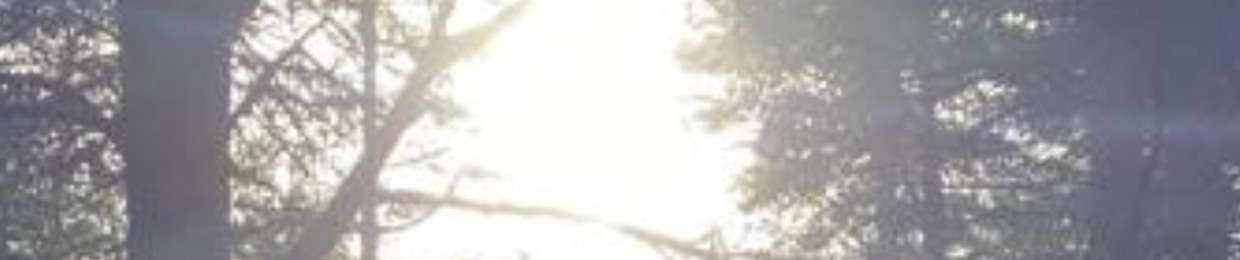 Cinae222222