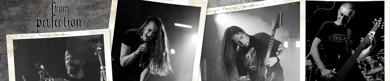 Fall From Perfection