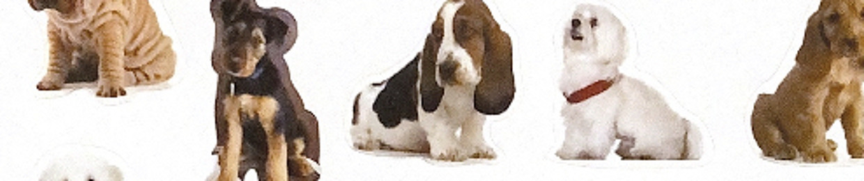 ernie