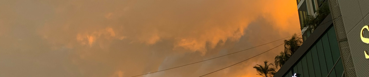 Bảo Ngọc Nguyễn