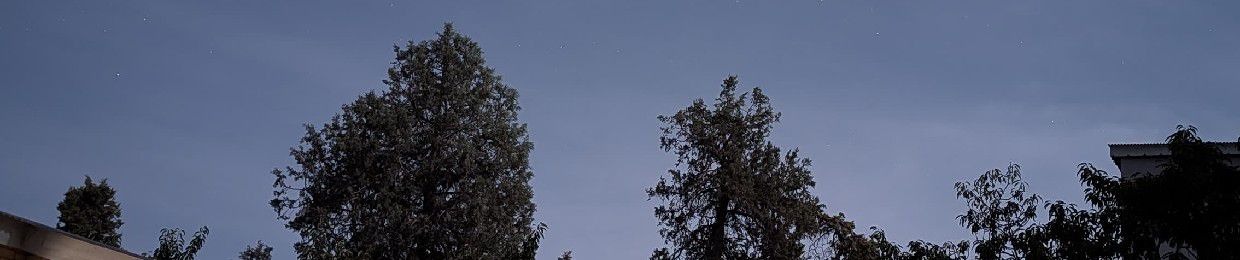 سیف مندوخیل 👻