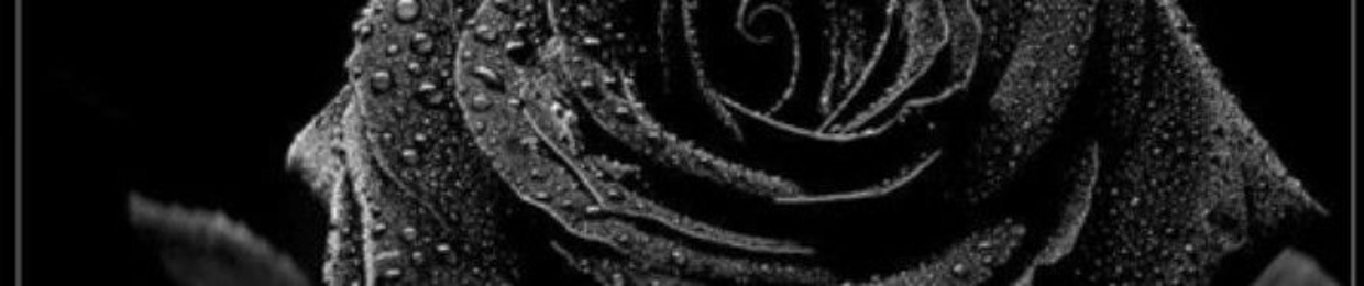 Witchlover 333