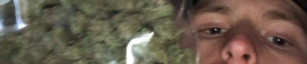 PercNowitzski/PesoBlanco