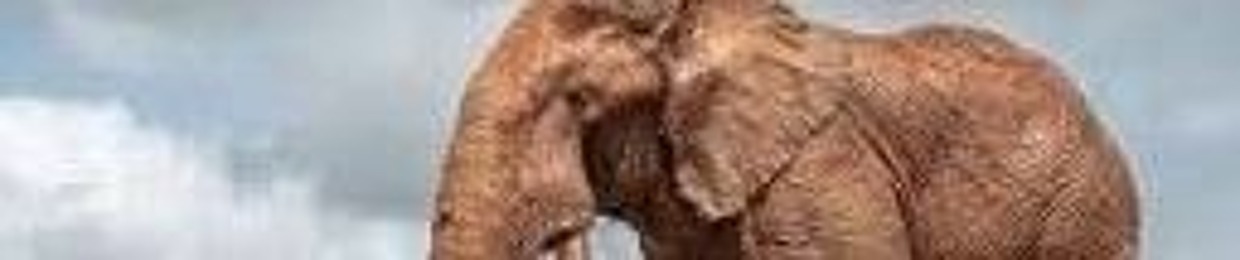 djmephedrone