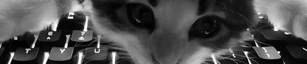 Жечка Дырова