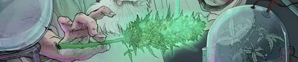 Jhonatan o mineirinho 🇧🇷🌾