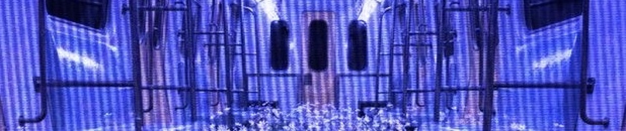 ૮ ྀིᴗ͈ . ᴗ͈ ྀིა