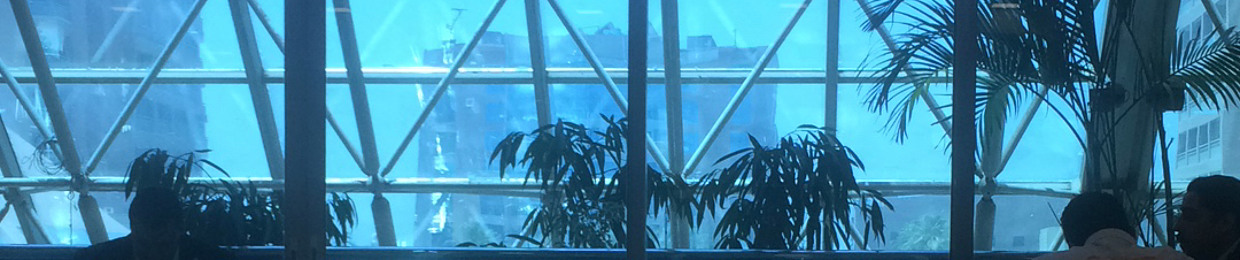 Doha EL-Dessoukii
