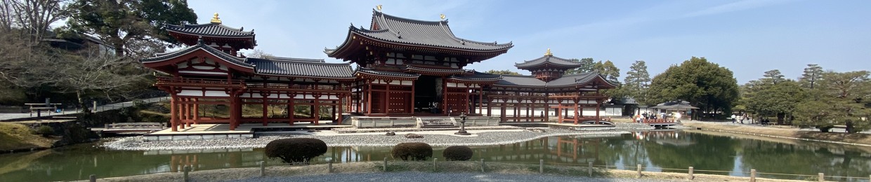 あんたれすP（ANT4RES_P）