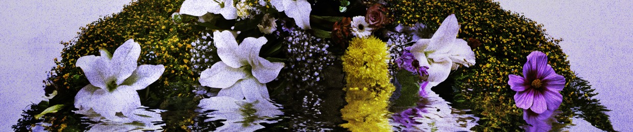 LOUK·X