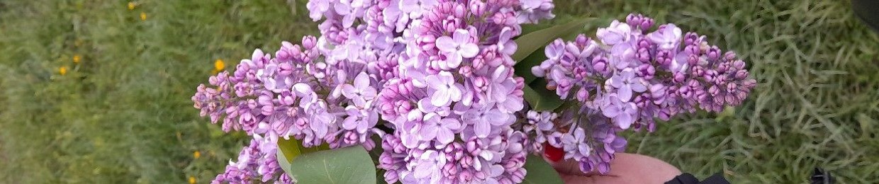 Катя Зарубайко