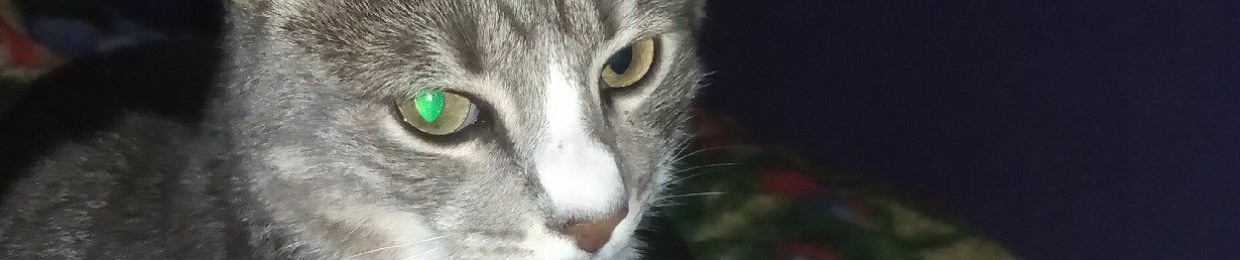 sovnwwn