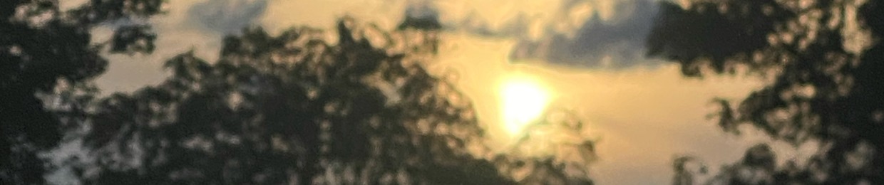 Solas