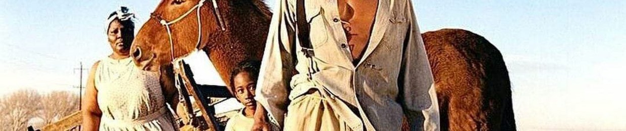 Mahmoudd Shahin