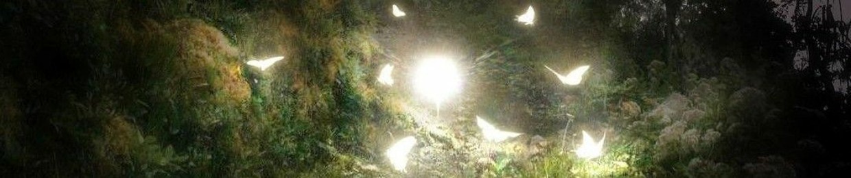 Nightlight.