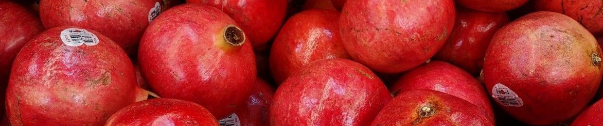 Pomegranate🕷️