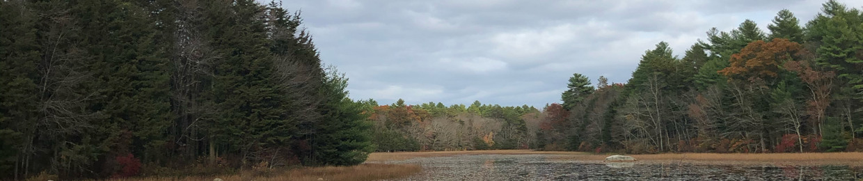 Northeast Field Recordings