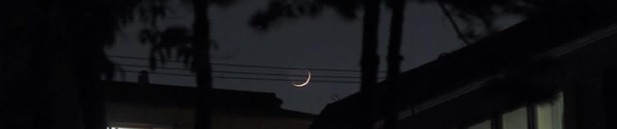 هنيدة