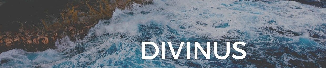 🔥DIVINUS🔥