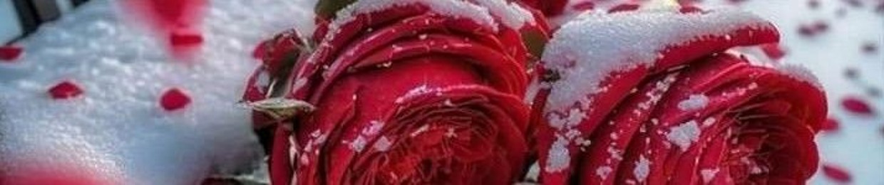 Abdo_elsaidi1
