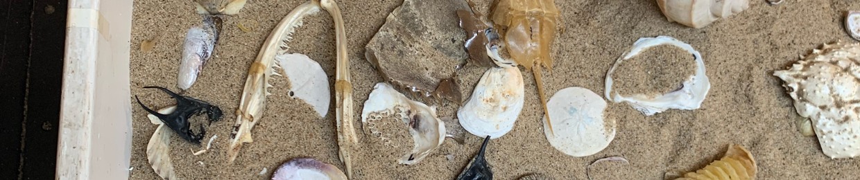 Daniel♫꒰･‿･๑꒱