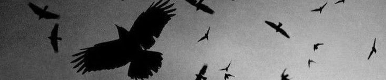 LilBatGirl 🖤✨️