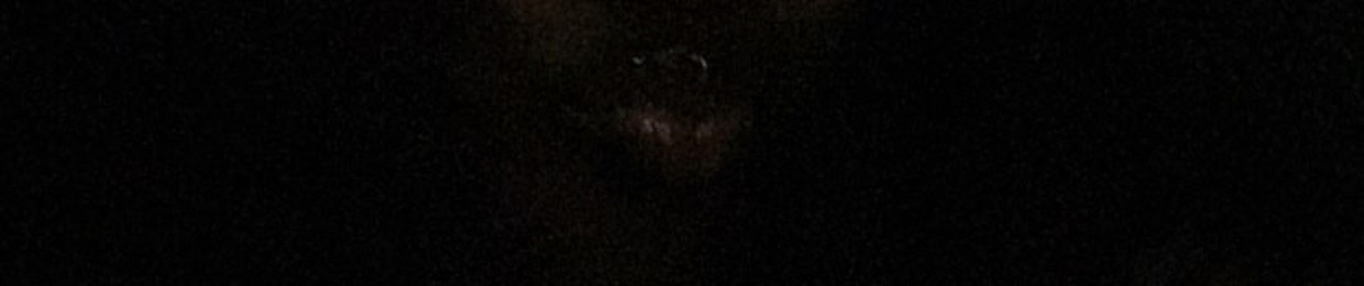 1cquan* (@1cquann)