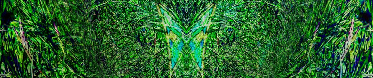 svawk