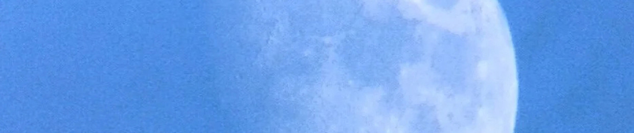 ⋆Sci-Fye⋆