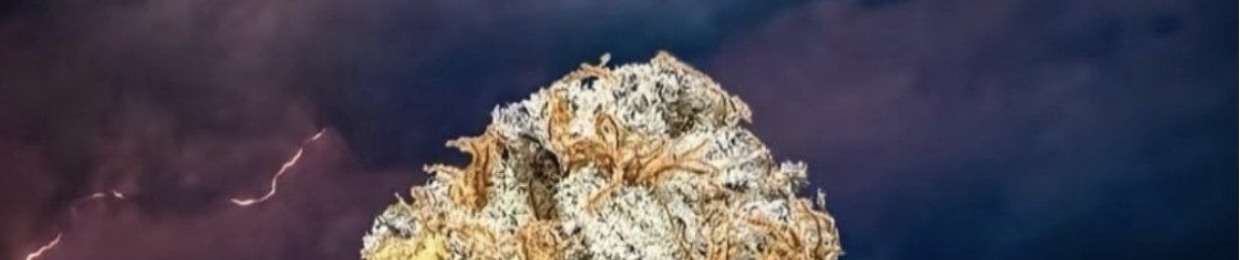 ржавый трубочист