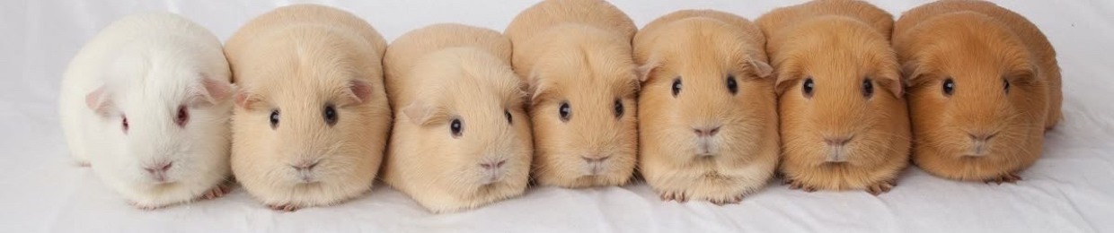︎ ︎ ︎ ︎ ︎ ︎ ︎ ︎ ︎ ︎ ︎ ︎ ︎