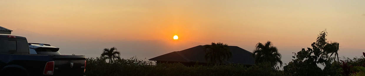 ALOHA LEI