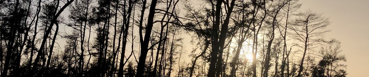 ShadowBalance